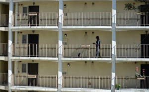 A man walks a dog at the Hacienda public housing apartment complex in Richmond, Calif. on Wednesday, Feb. 19, 2014. (Kristopher Skinner/Bay Area News